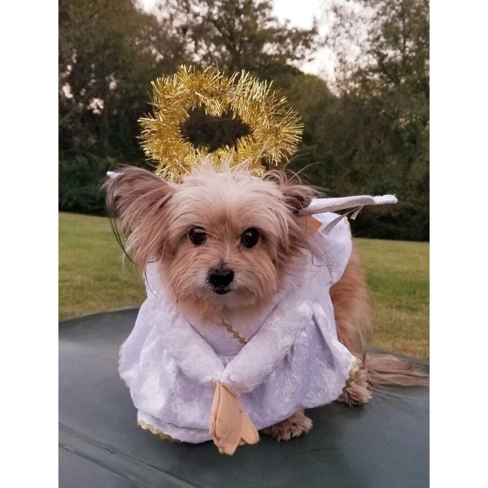Heavenly Hound Dog Angel Costume -SMALL - Halloween Christmas