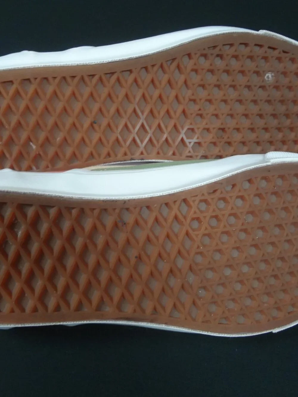 Vans vault transcentcoastal og