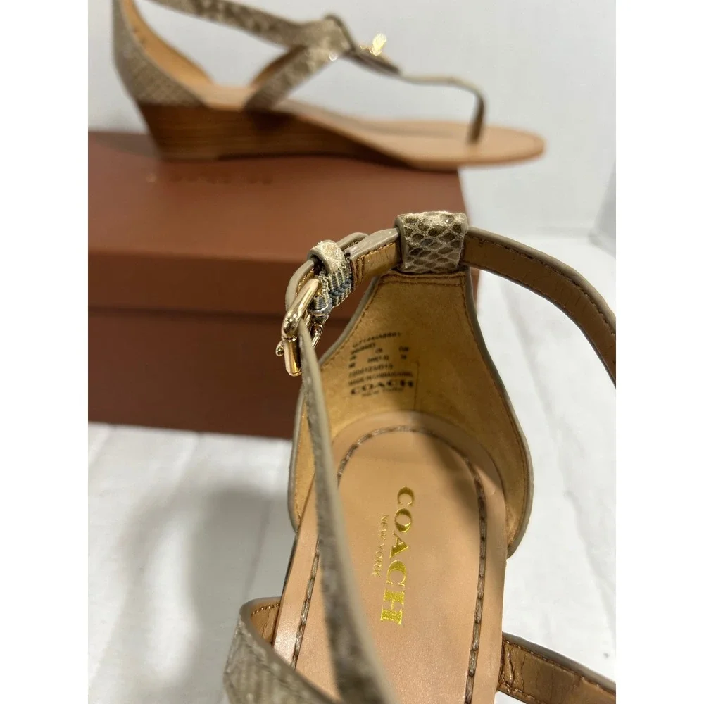 Coach brand model