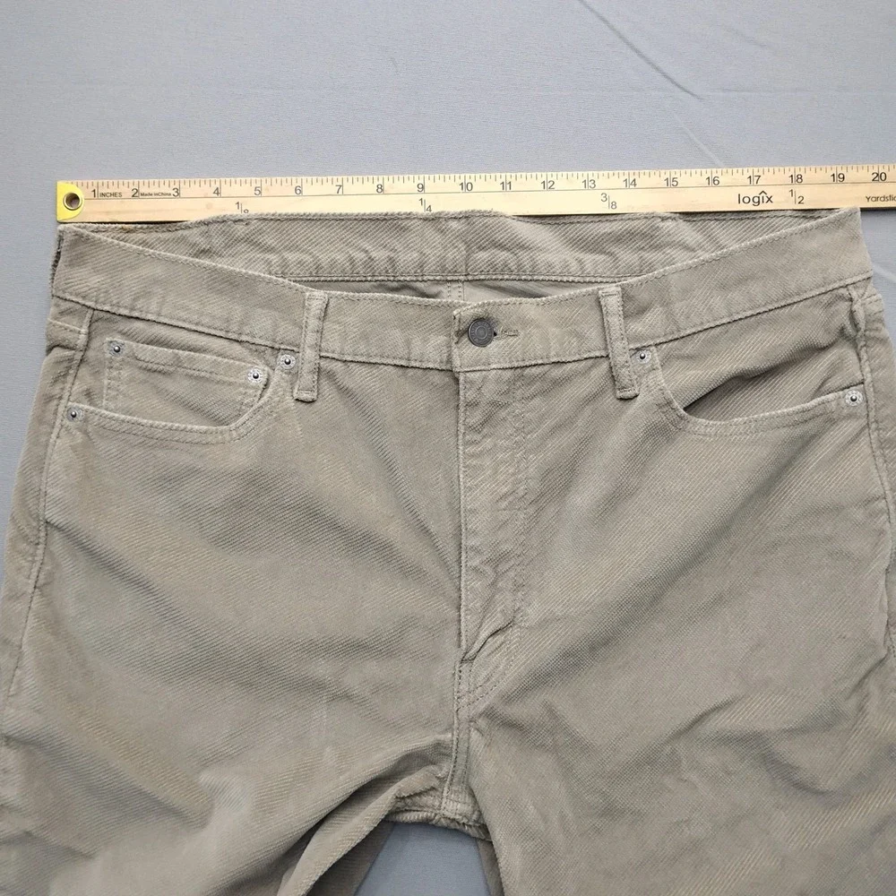 Levis levis 511