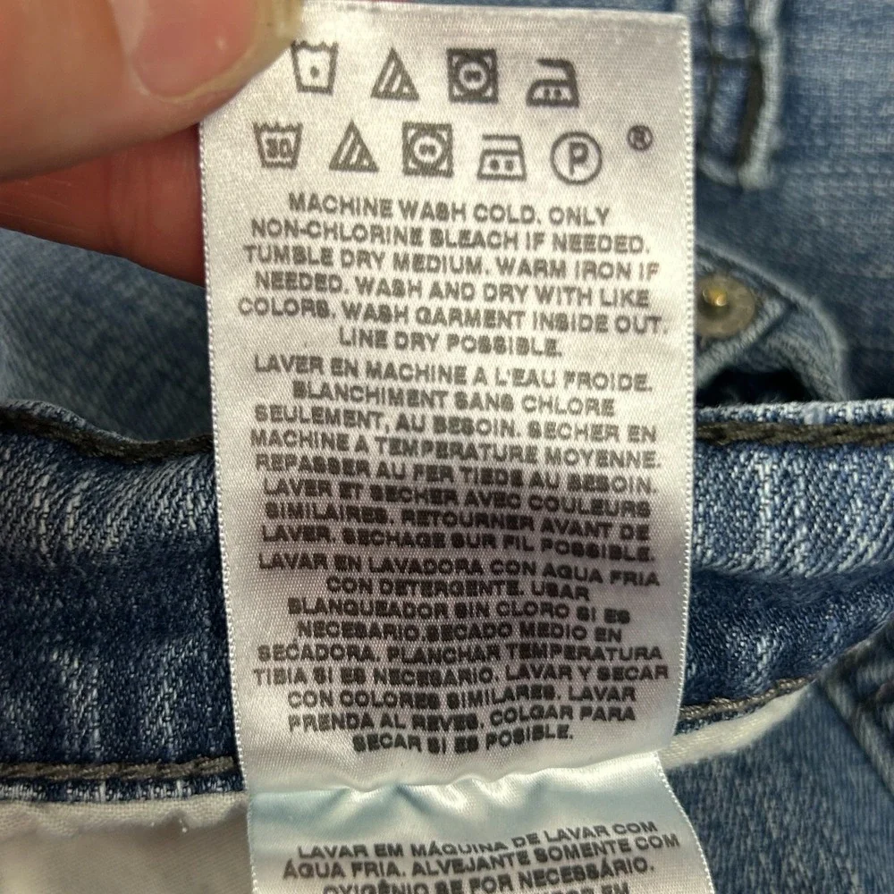 Levis levis 559