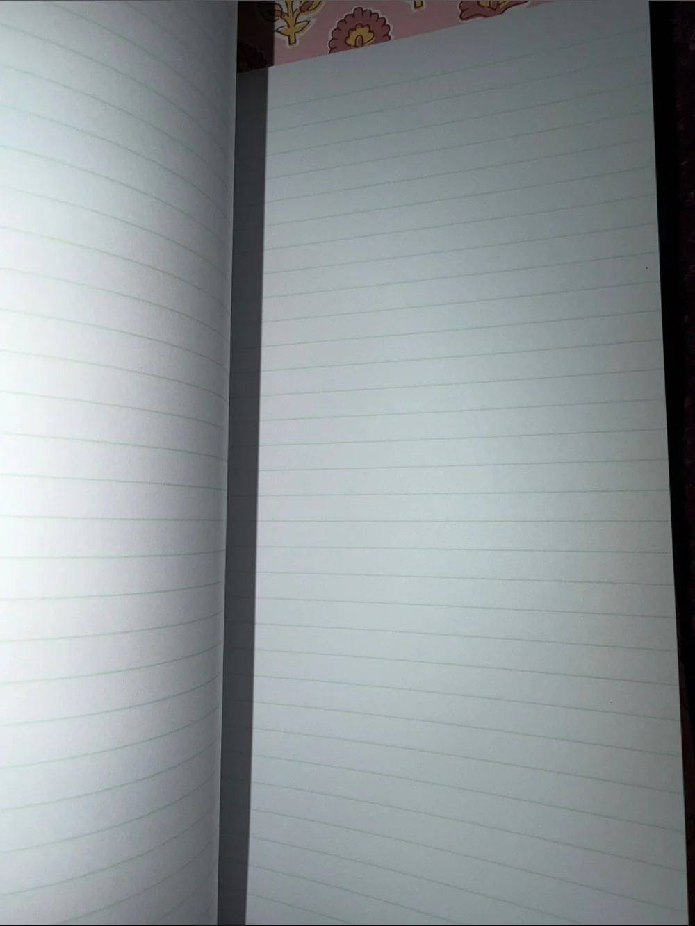 Dog Notebook Set-Various lined paper, matching Bow Pen, 2 Folders, Comp Book
