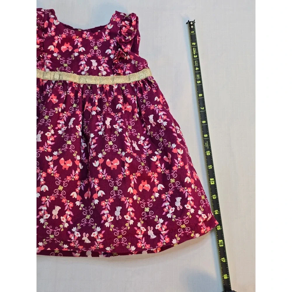 Gymboree Girls Berry Purple Woodland Fox Bunny Floral Gold Bow Dress 12-18M