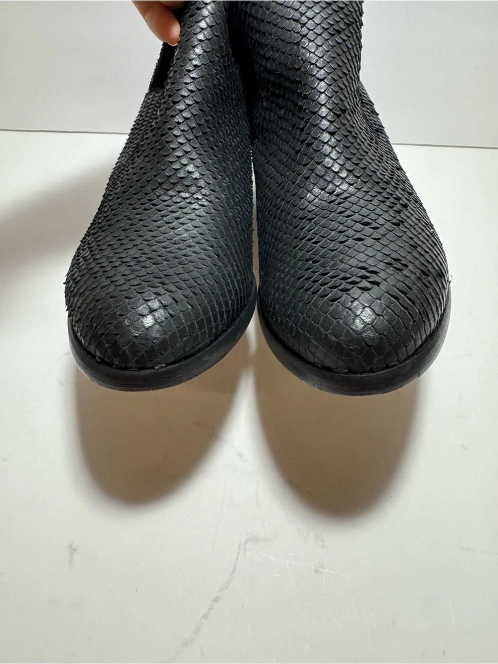 Cordani sleek 38