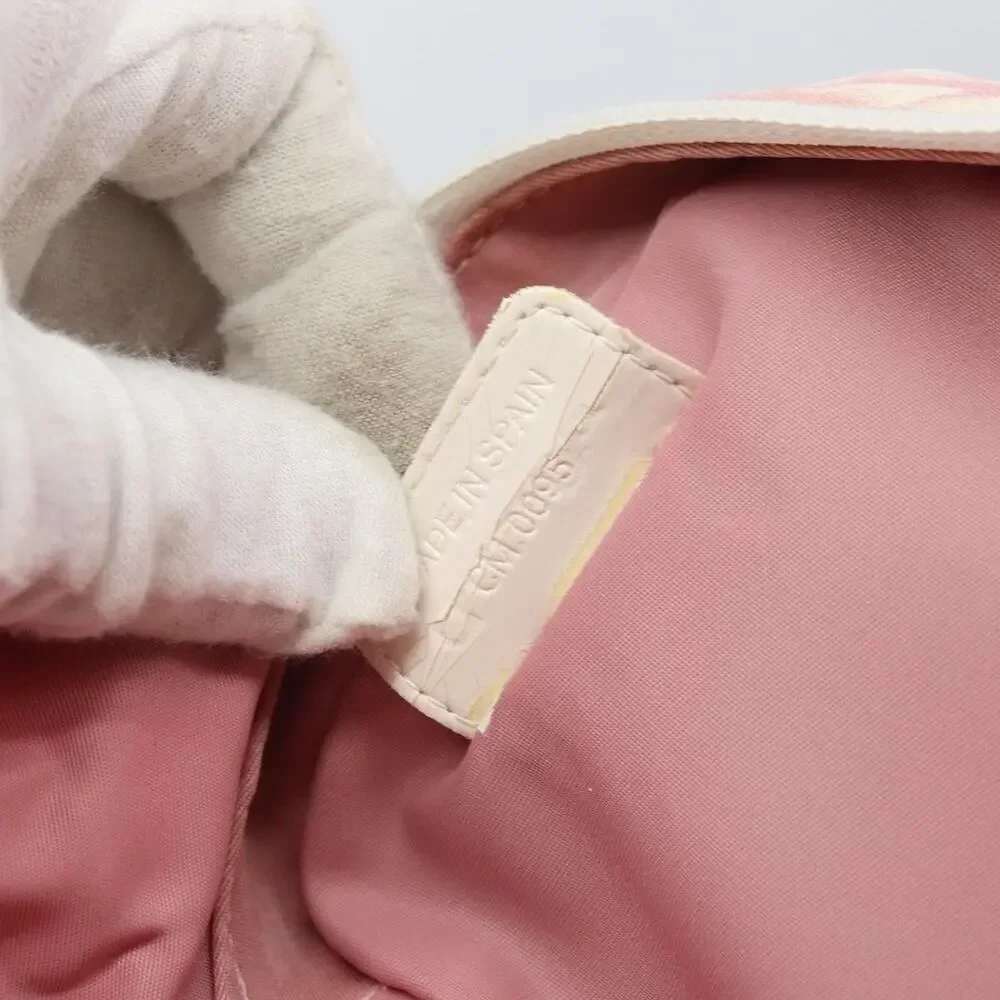 Dior Trotter Pouch Pink