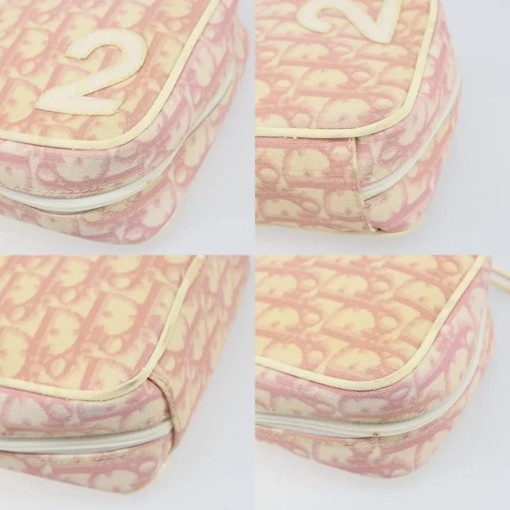 Dior Trotter Pouch Pink