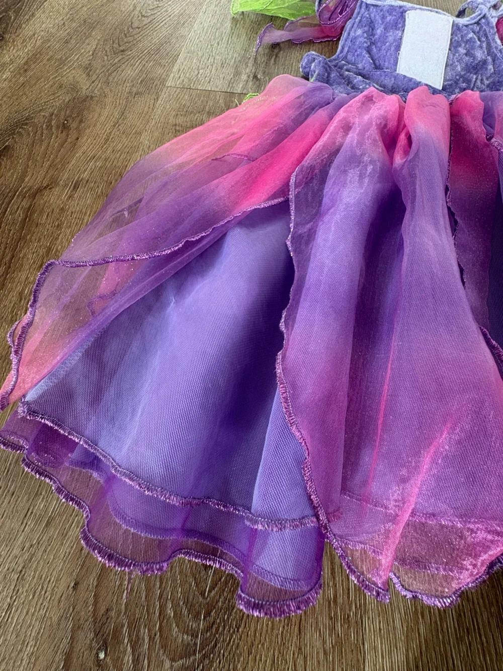 Dreamworks enchanting purple