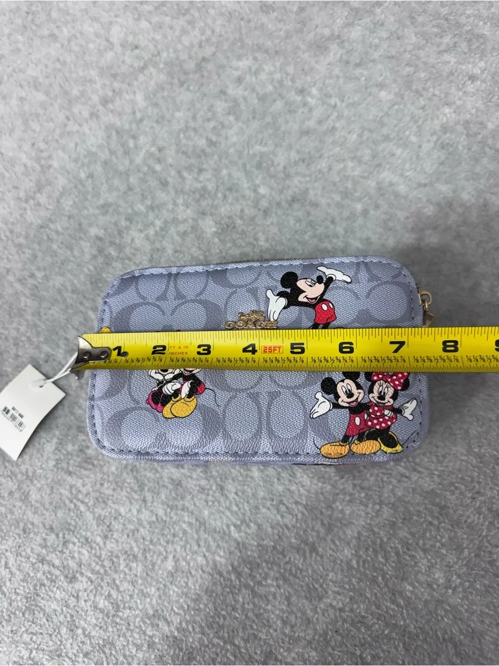 Coach strap character detachable