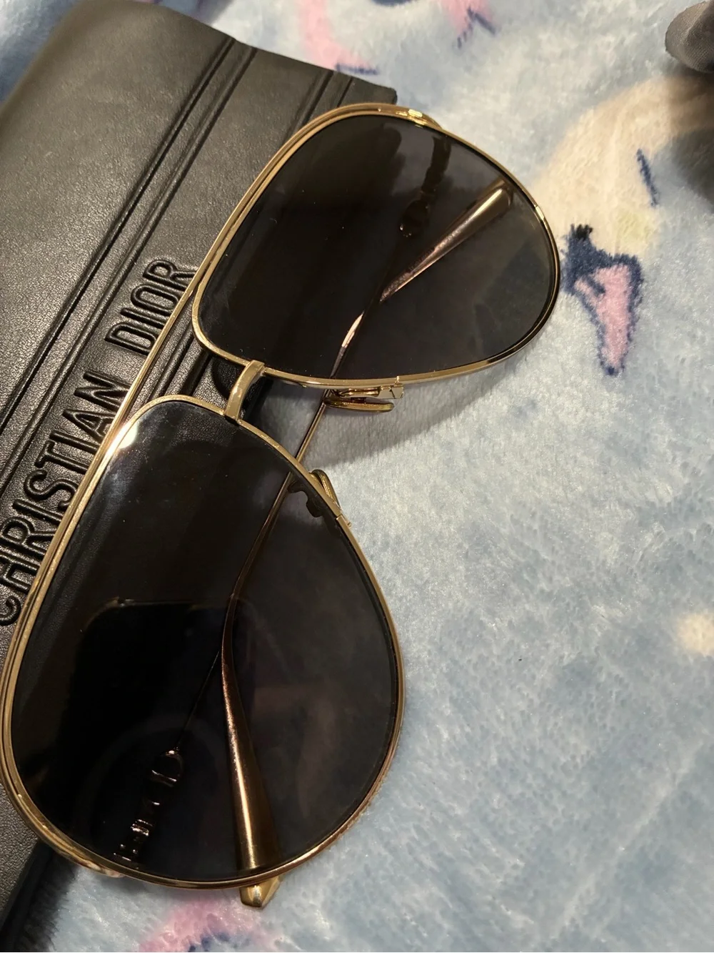 Dior slim leather