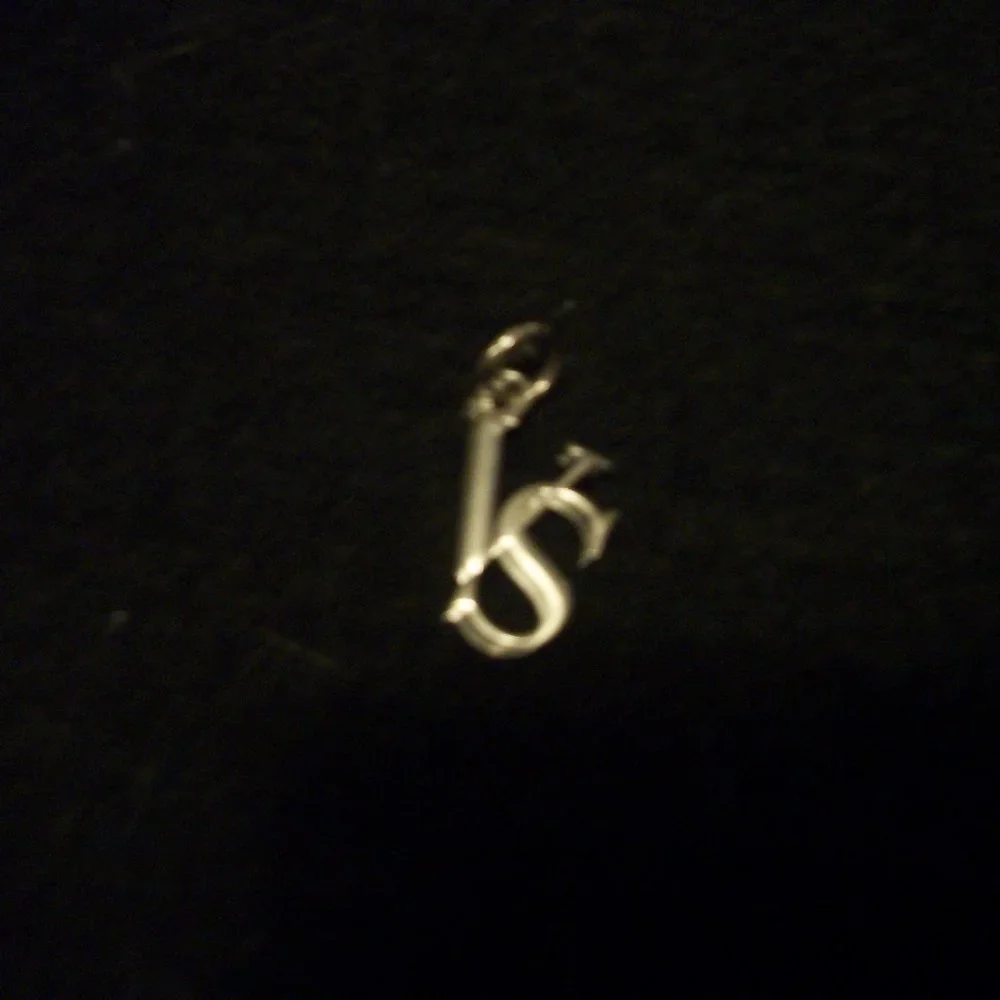 VICTORIAS SECRET SEQUIsNED LG OVERNIGHT BAG