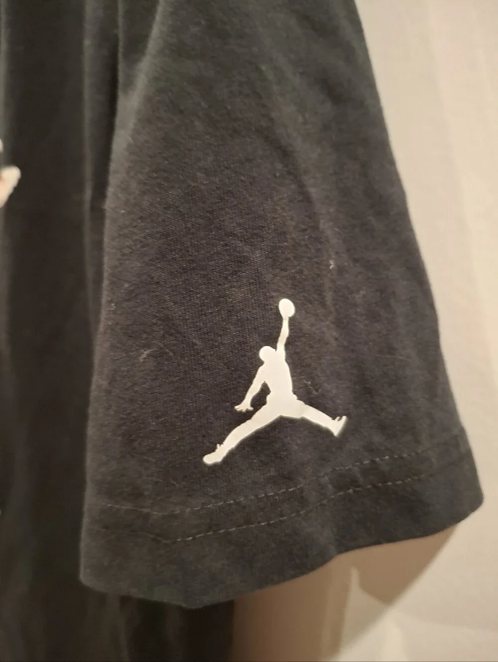 Jordan short casual graphic