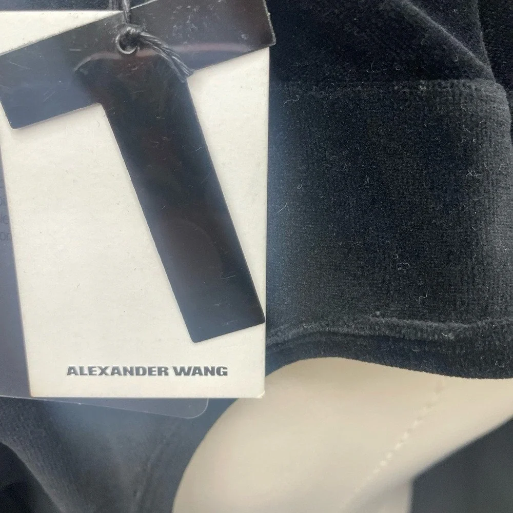 Alexander Wang nwt alexander
