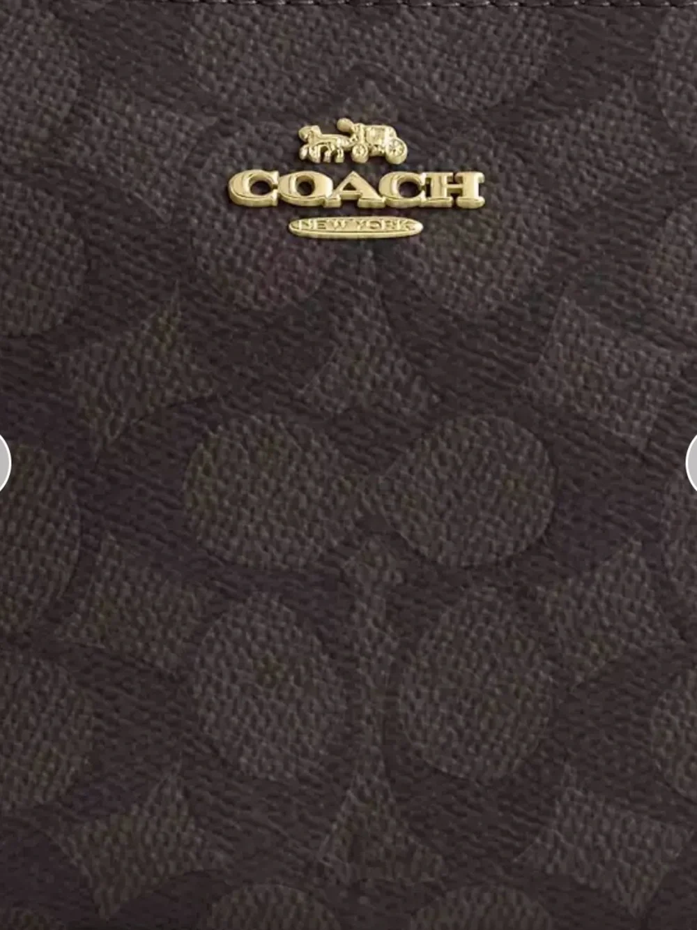Coach silhouette mini