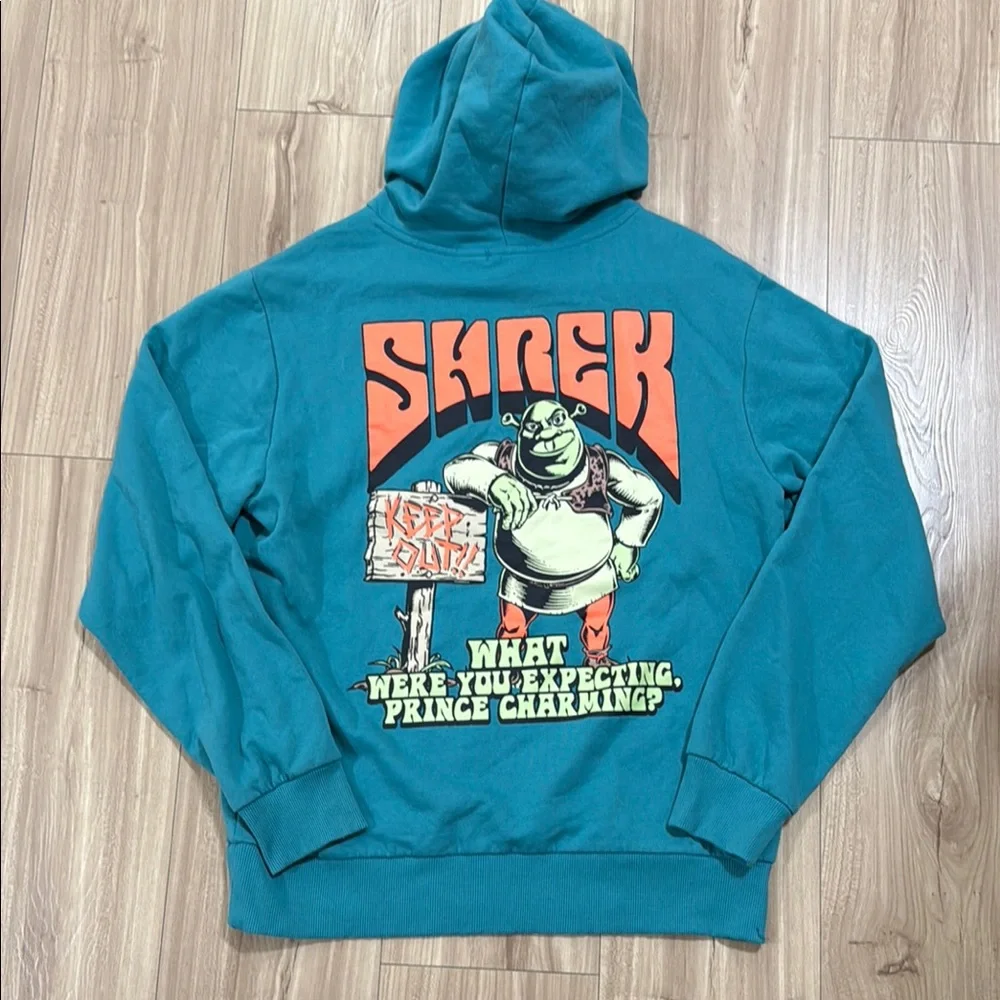 Dreamworks teal hoodie