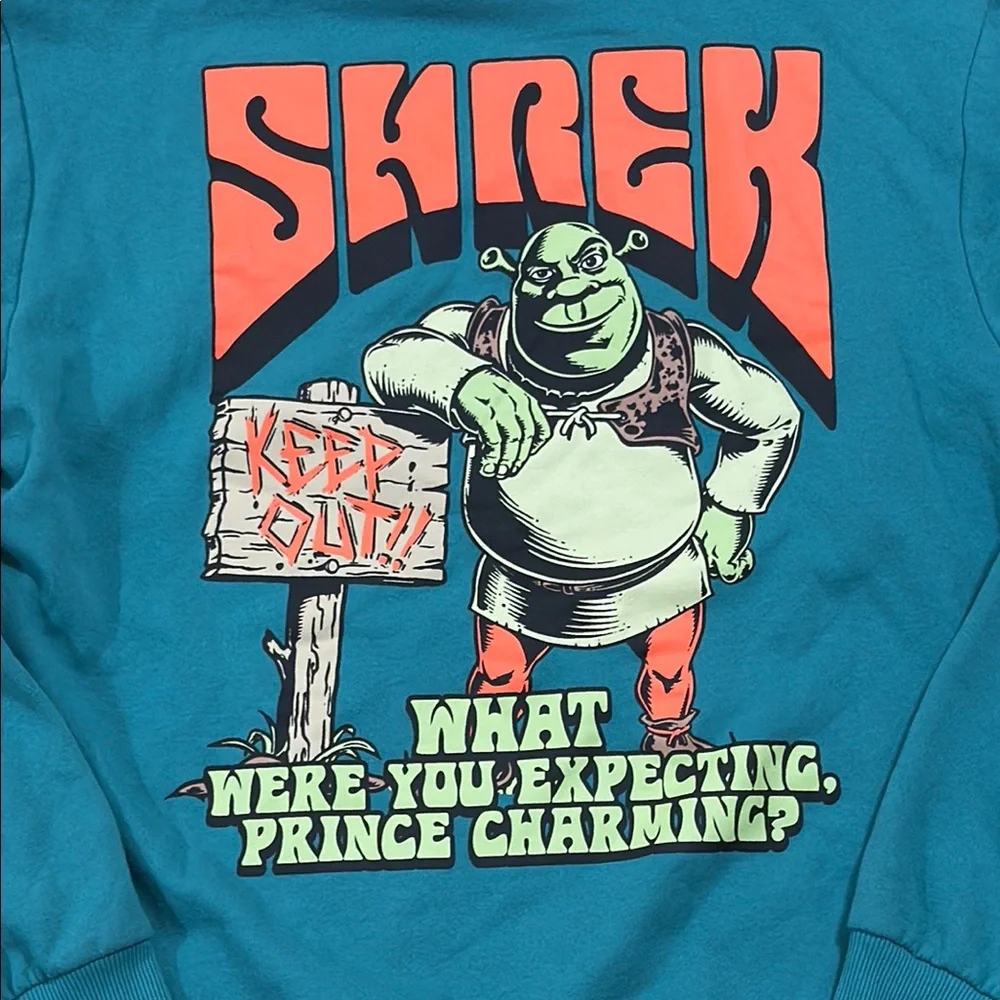 Dreamworks teal hoodie